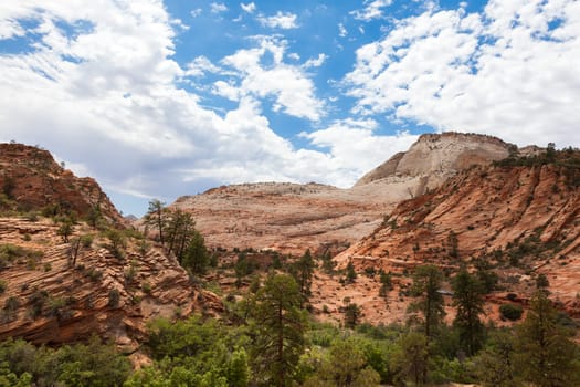 Geological formations in Zion national Park in Utah, USA