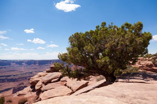 Dead horse view in Utah - USA