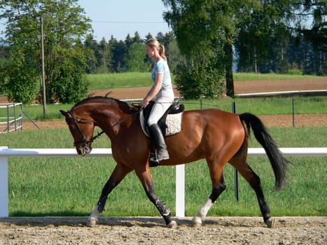 horse riding woman sideways in a parcours at summer time