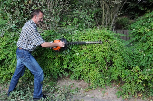 Cutting hedges