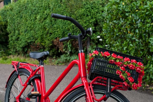 red bicycle with flower basket on it