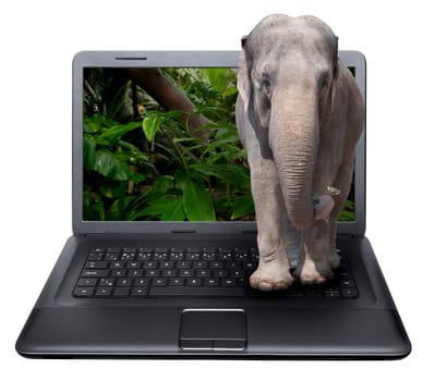 3D Notebook With Elephant on the Screen - isolated on White