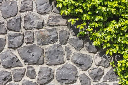 Half Stone Wall - Half Plant
