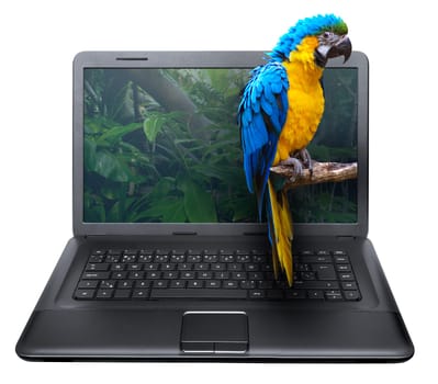 3D Notebook With Ara Parrot on the Screen - isolated on White