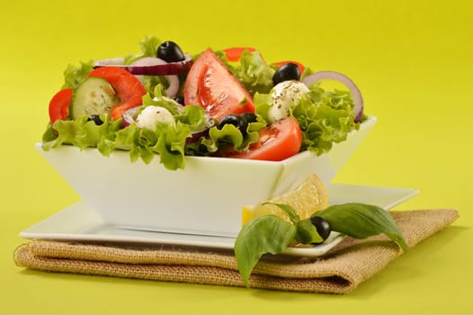 Vegetable salad bowl on green background