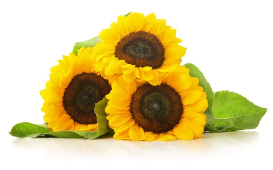 Composition with sunflowers isolated on white background