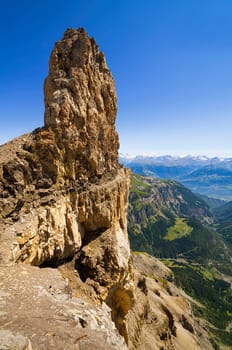 The devil's claw in portrait format