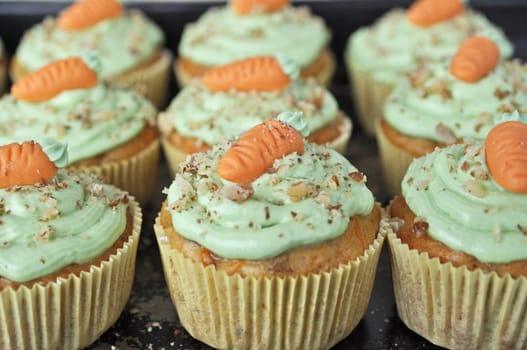 Carrot Cupcakes