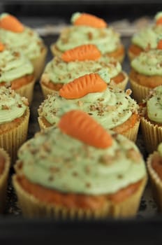 Carrot Cupcake