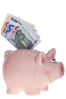 Pink piggy bank with banknotes - Pink piggy bank with banknotes against white background