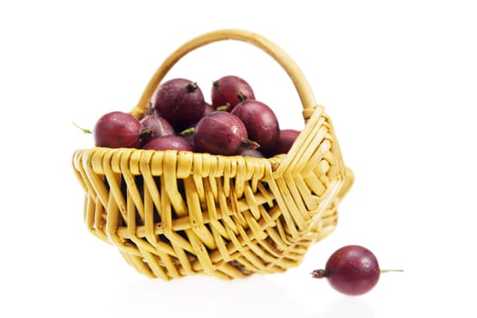Basket with berries of a red gooseberry, a white background