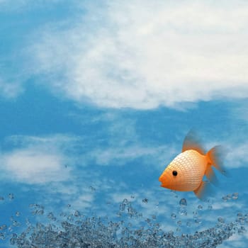 Water splash, fish and nice sky for adv or others purpose use