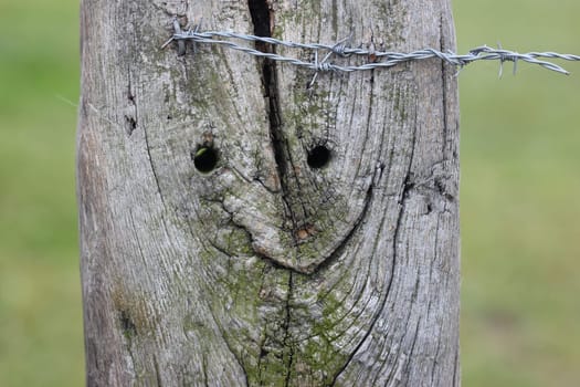 Friendly fence post