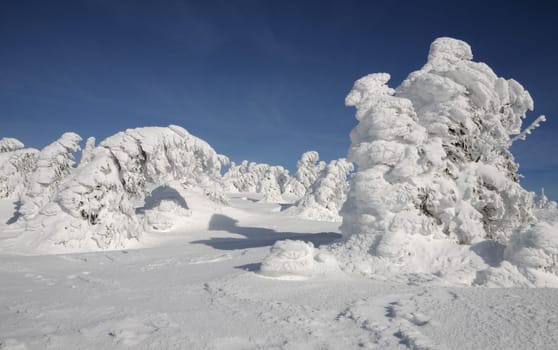 Winter on the Brocken...