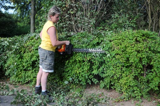 Gardening