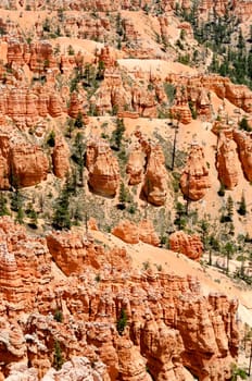 Bryce Canyon in Utah in the United States of America