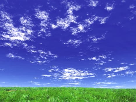 green meadow and blue sky