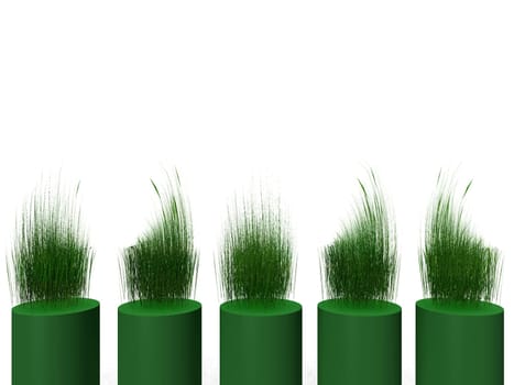 green grass