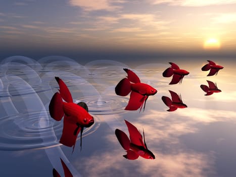 jumping fish