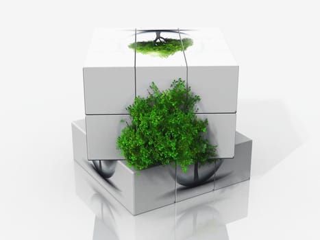 the tree box