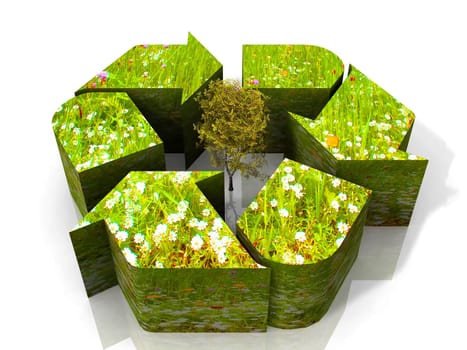 green recycling