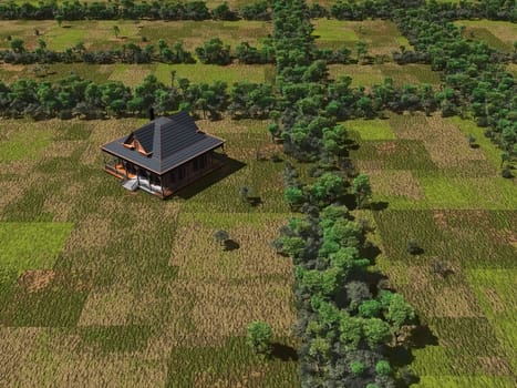 farmland