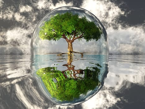 green tree in a transparent bubble