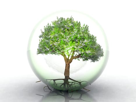 green tree in a transparent bubble