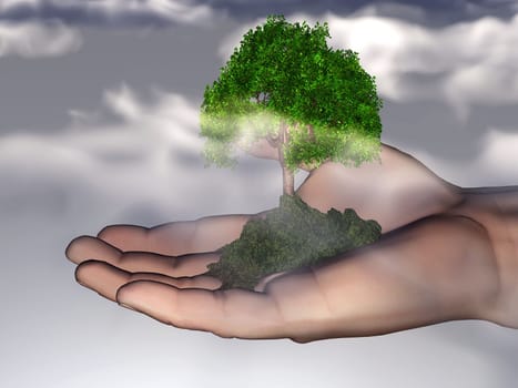 tree in the hand