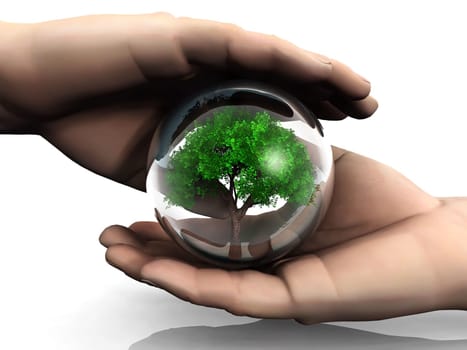 tree in the hand