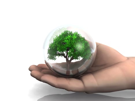 tree in the hand
