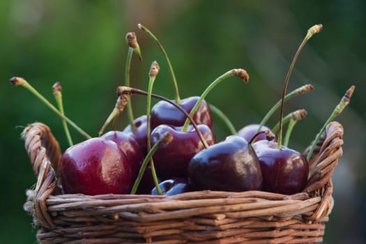 delicious cherries