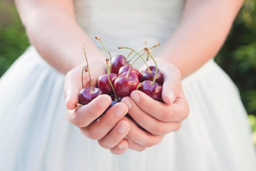 Girl holding cherries in her hands