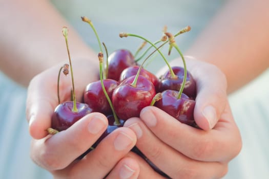 Girl holding cherries in her hands