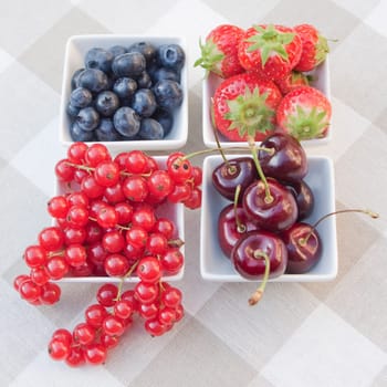 Garden fruits