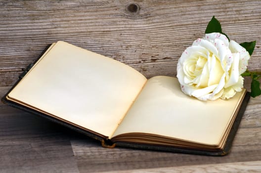 old poetry album rose on old wood background