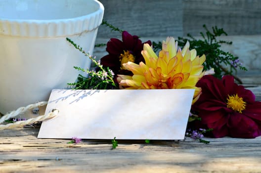 Flower greeting in autumn