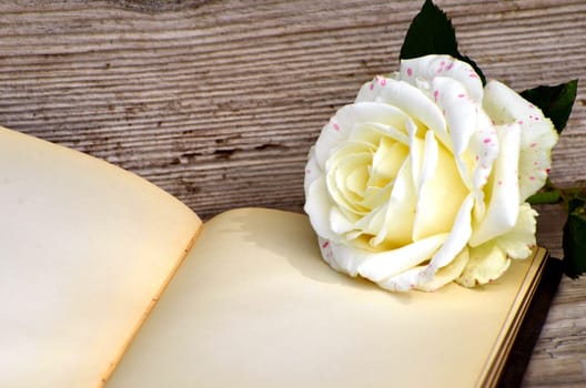 old poetry album rose on old wood background