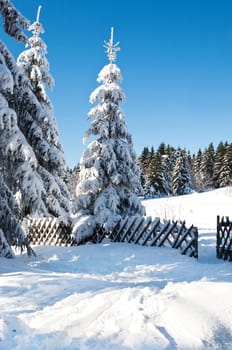 Wintertime