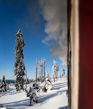on the Brocken summit