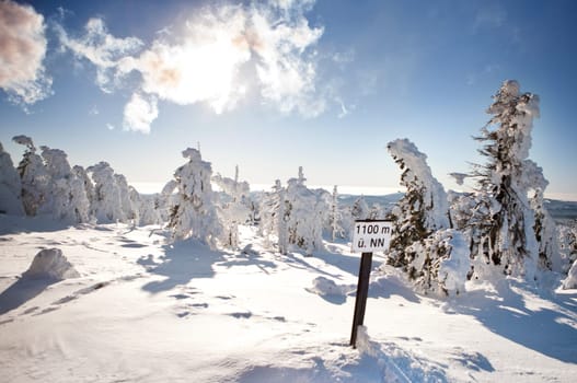 Winter sunshine