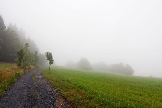 Shot of the misty landscape - meadow and country road