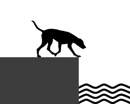 Dog on the shore