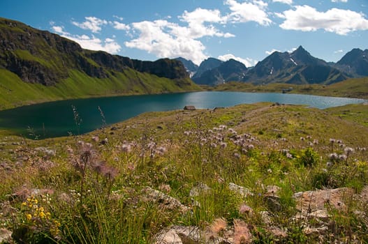 Alpine meadow with lake in background, Val Formazza, Italy