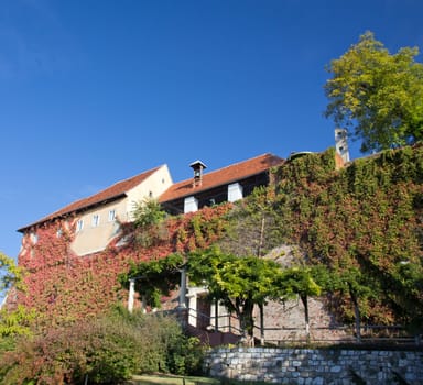 Graz