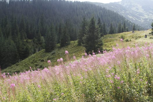 Poland Tatra mountains