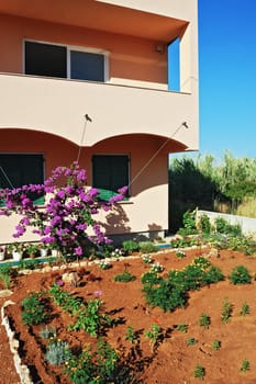 House Garden Croatia
