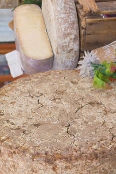 Some old sheep cheeses ready to sell at the farmers market