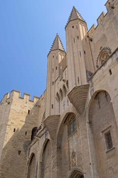 Ancient Avignon Cathedral and Palais des Papes (Avignon, France). Vertically.