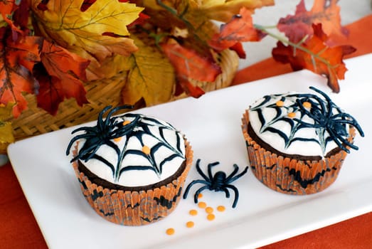 Chocolate cupcakes with vanilla icing,decorated with fake spiders.